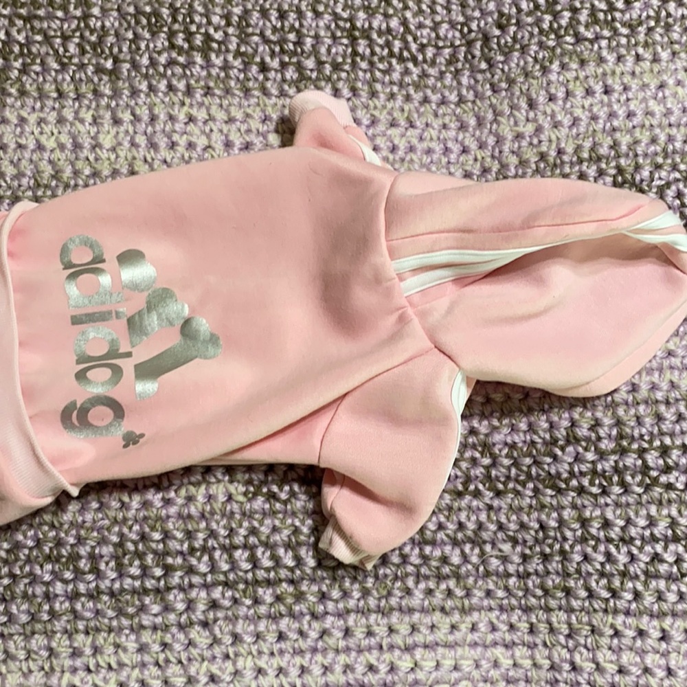 Adidog outfit